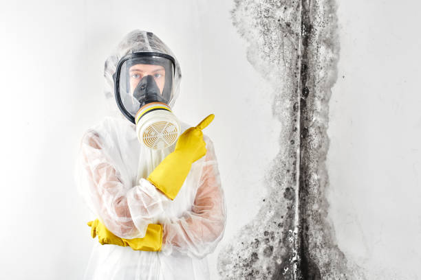 Biohazard Mold Removal in Rollingwood, TX